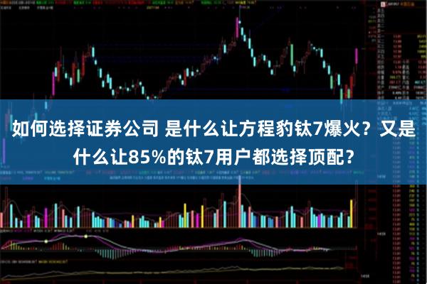 如何选择证券公司 是什么让方程豹钛7爆火?又是什么让85%的钛7用户都选择顶配?