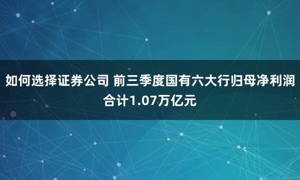 如何选择证券公司 前三季度国有六大行归母净利润合计1.07万亿元
