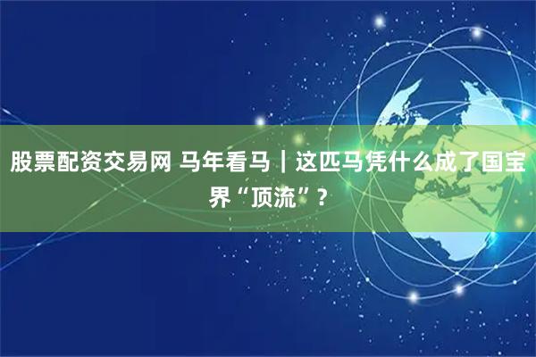 股票配资交易网 马年看马｜这匹马凭什么成了国宝界“顶流”？